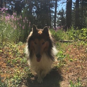 Meet your Posher, Toni